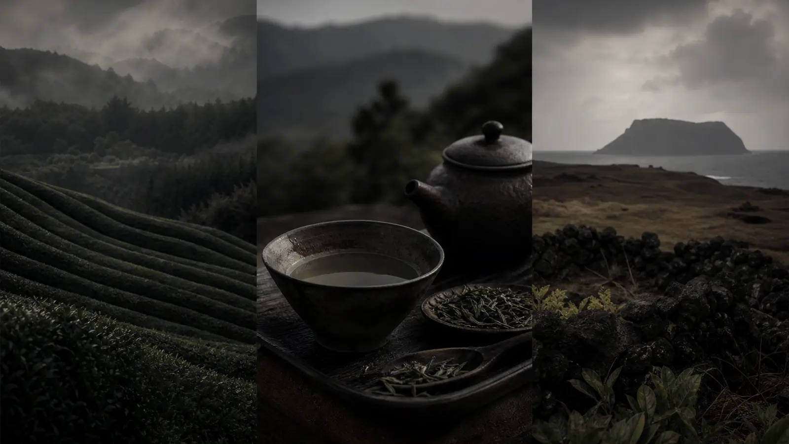 Boseong vs Hadong vs Jeju: Korea's Three Tea Terroirs Compared
