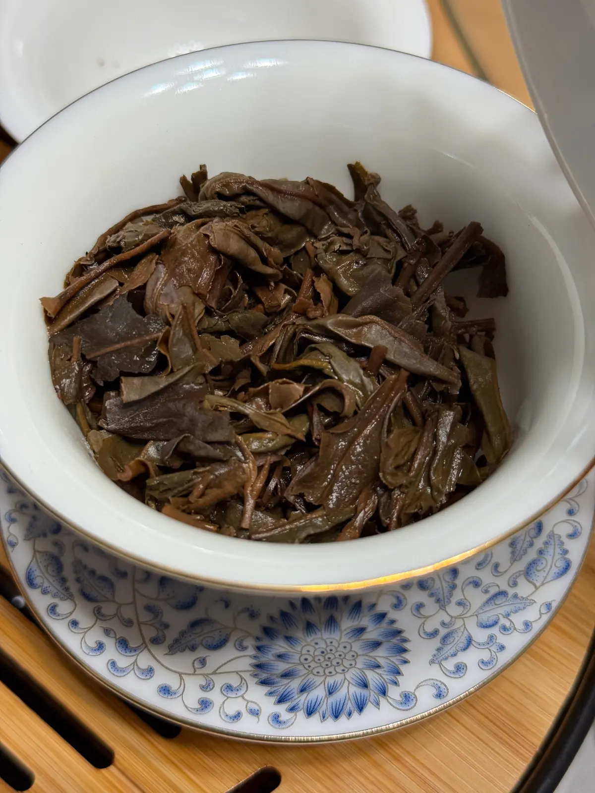 2000 Bulang Mushroom Tuo — wet leaves after session